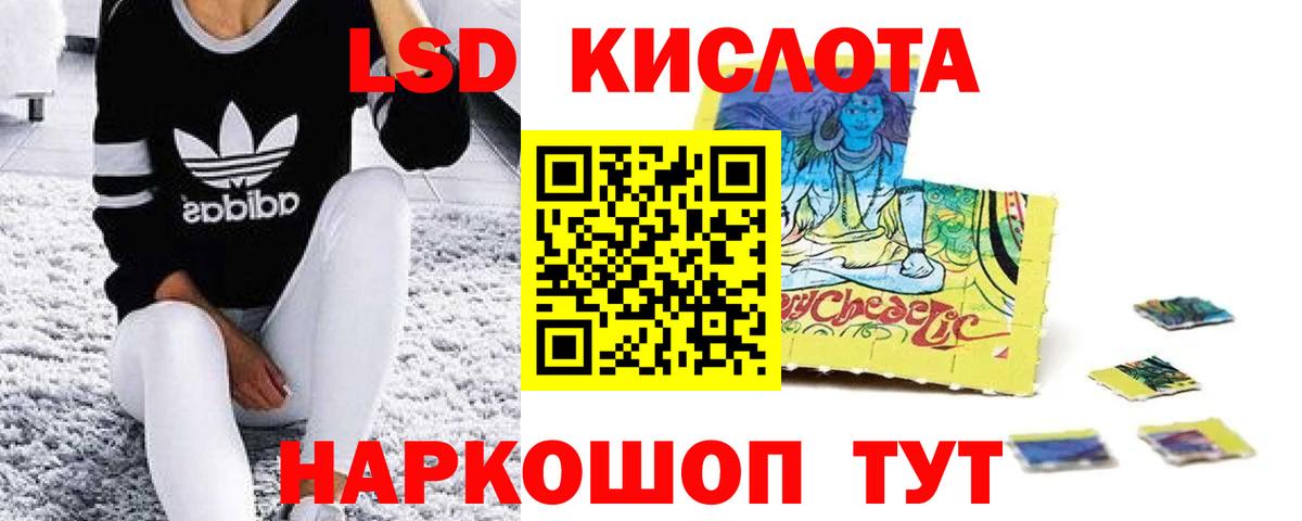 Псилоцибиновые грибы Зима