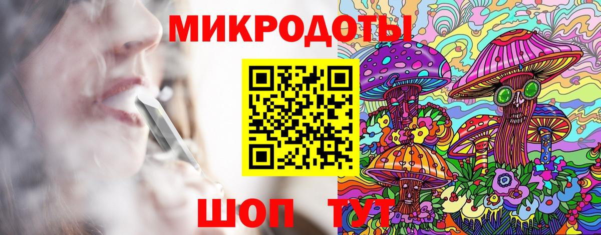 Галлюциногенные грибы Psilocybine cubensis Зима