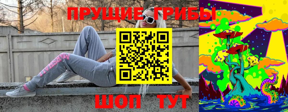 Зима  Псилоцибиновые грибы GOLDEN TEACHER  Вход с VPN 