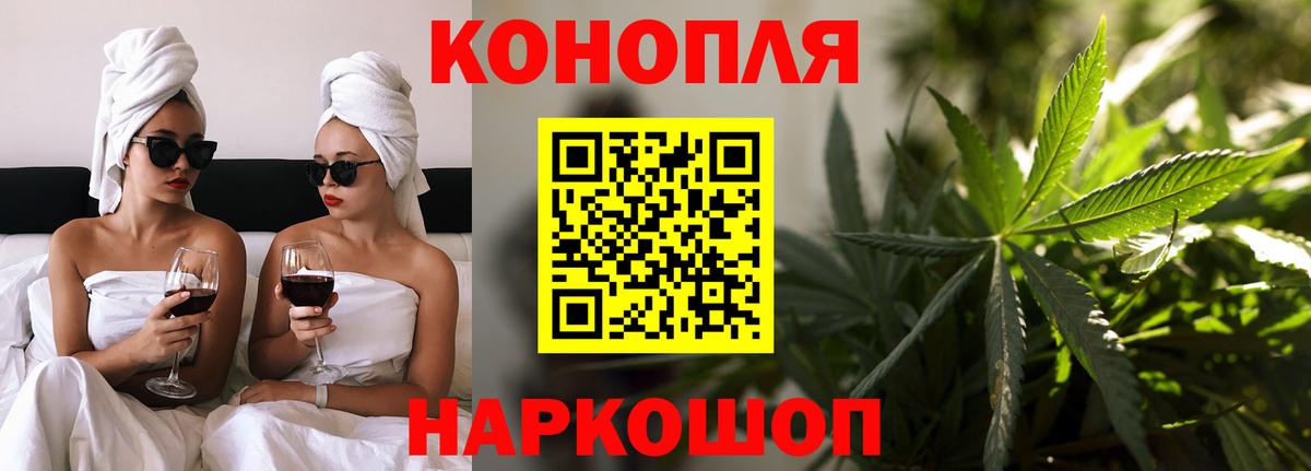 Шишки марихуана гибрид Зима